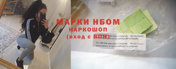 шишки Каменка