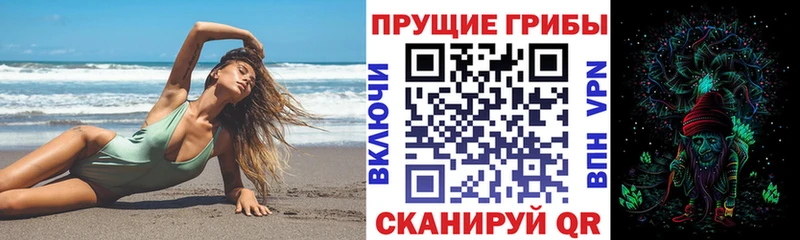где можно купить   Сухой Лог  Галлюциногенные грибы мухоморы 